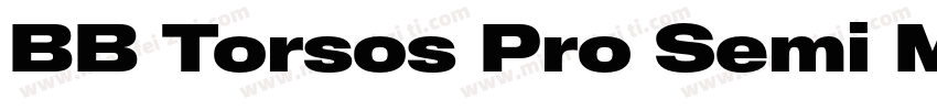 BB Torsos Pro Semi M字体转换